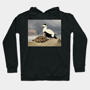 Kaksi Haahkaa by Ferdinand von Wright Hoodie